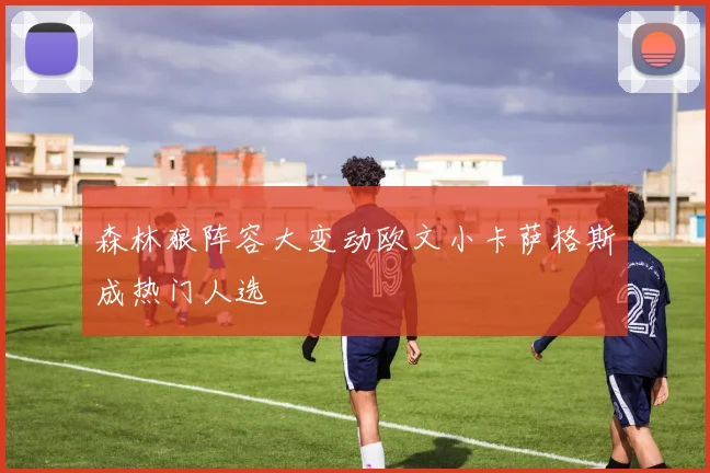 森林狼阵容大变动欧文小卡萨格斯成热门人选