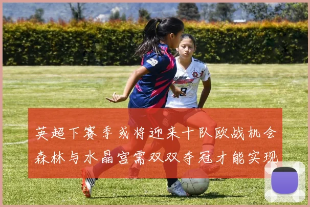 英超下赛季或将迎来十队欧战机会森林与水晶宫需双双夺冠才能实现
